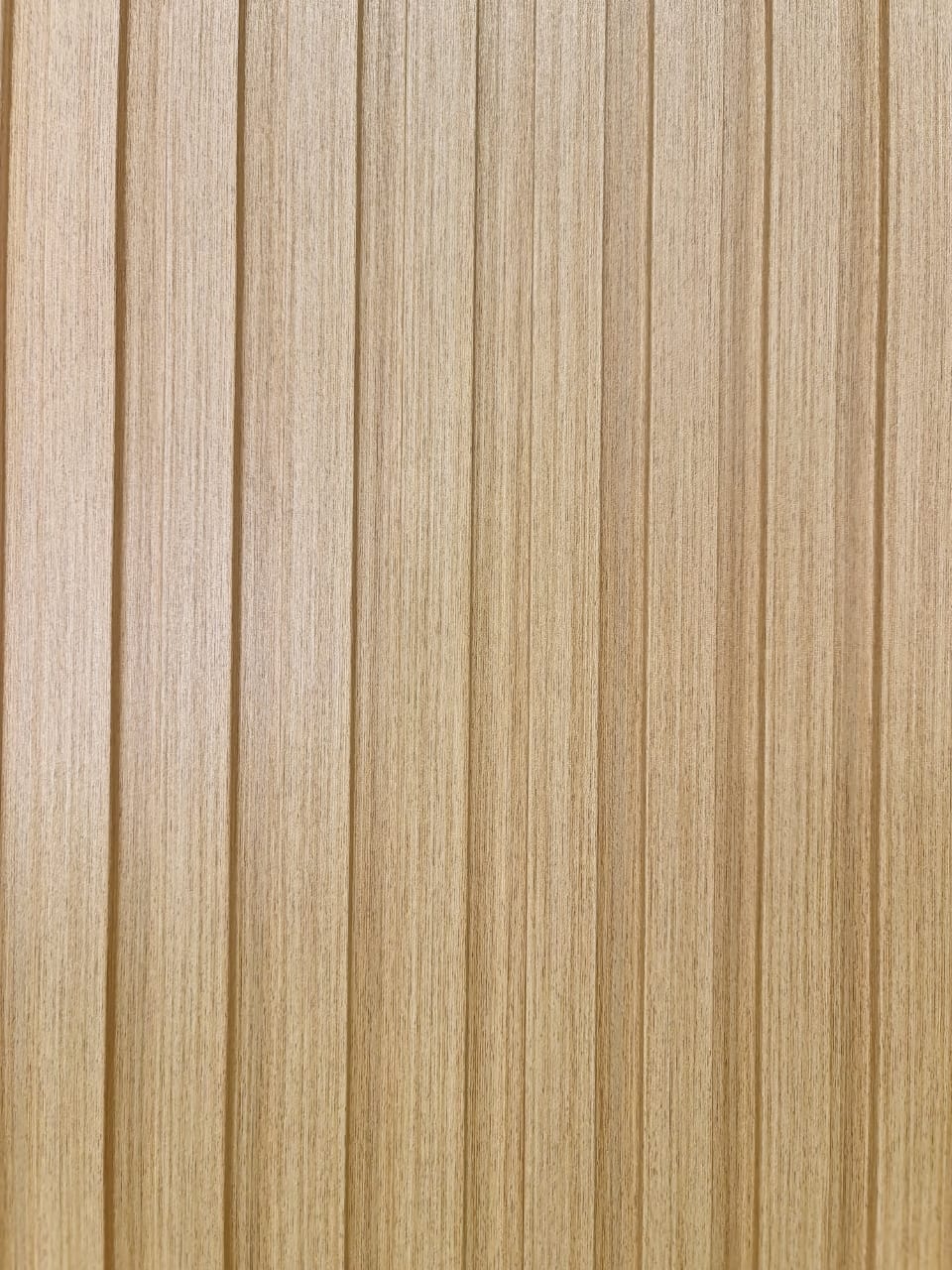 WhatsApp Image 2024-03-02 at 10.58.16_fe53786b