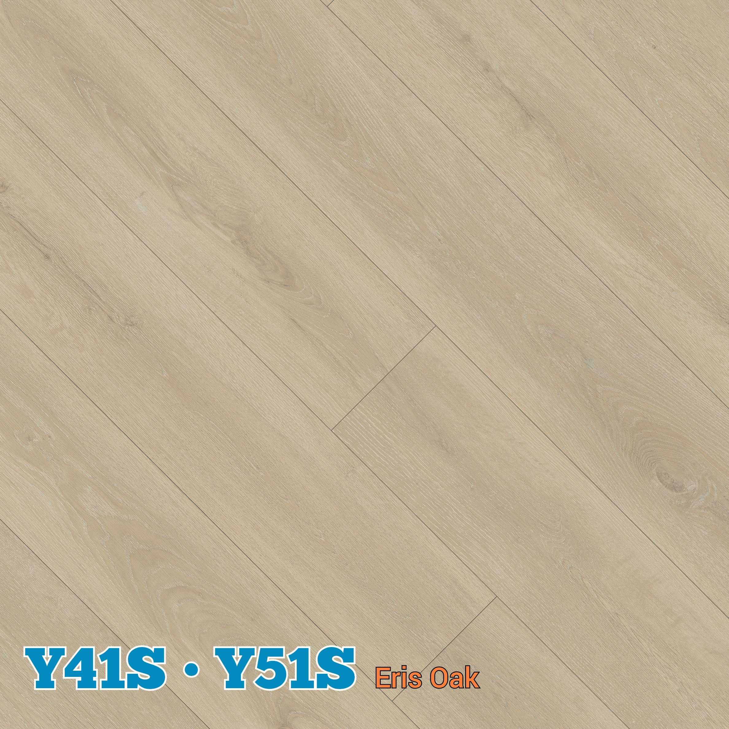 Y41-51S # Eris Oak2